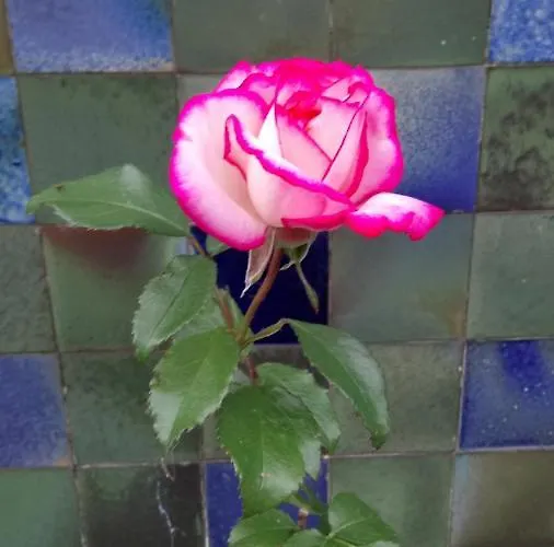 Bed and breakfast La 